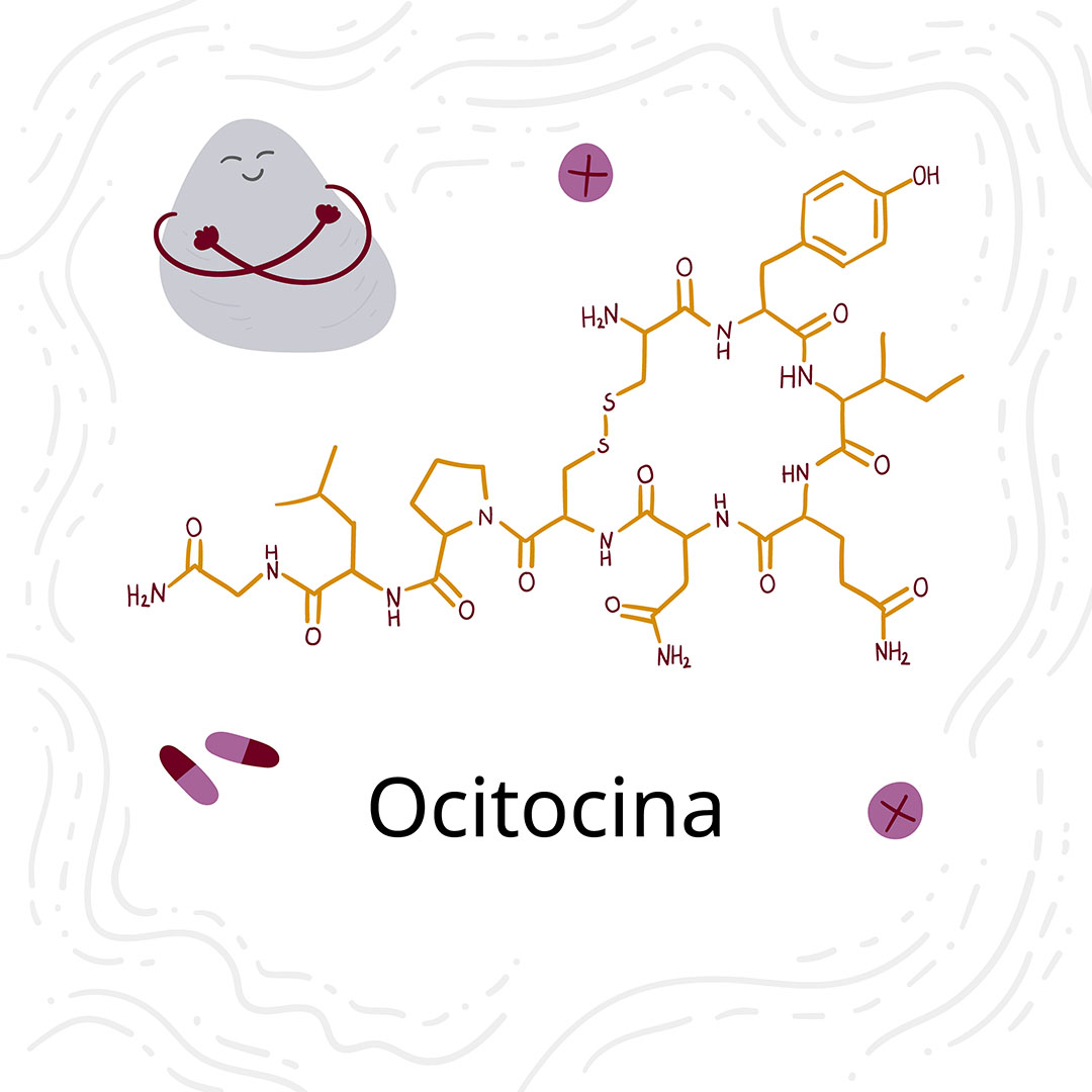 Como aumentar a libido - quarteto da felicidade: Ocitocina