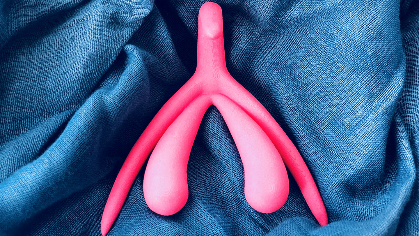 Orgasmo Clitoriano Estrutura 3D do clitóris