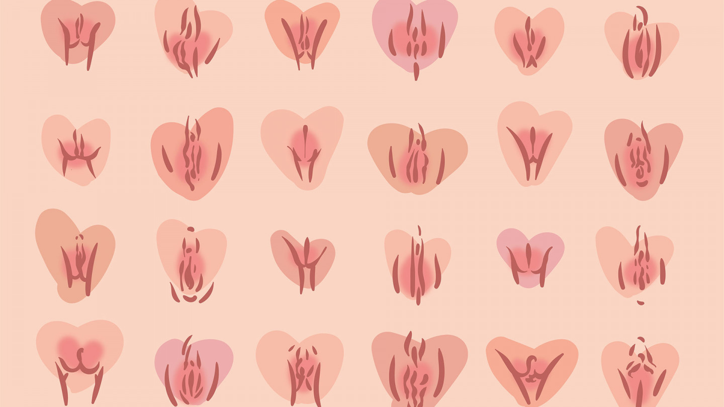 Vulvas: coisas que você precisa saber